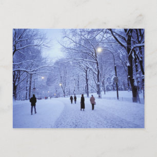 Noord-Amerika, VS, New York, New York City. 8 Briefkaart