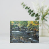 Noord-Amerika, VS, NH, de brug bij Packers Briefkaart (Staand voorkant)