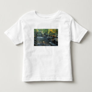 Noord-Amerika, VS, NH, De brug bij Packers Kinder Shirts