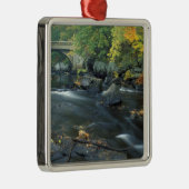Noord-Amerika, VS, NH, de brug bij Packers Metalen Ornament (Rechts)