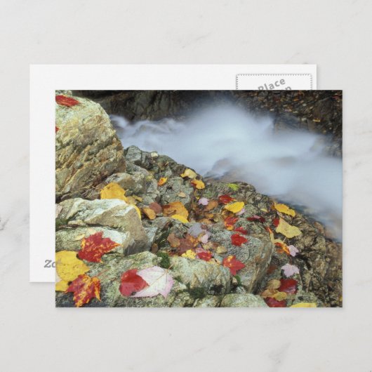 Noord-Amerika, VS, NH, Herfst in New England. Briefkaart (Voorkant / Achterkant)