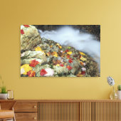 Noord-Amerika, VS, NH, Herfst in New England. Canvas Afdruk (Insitu (Woonkamer))