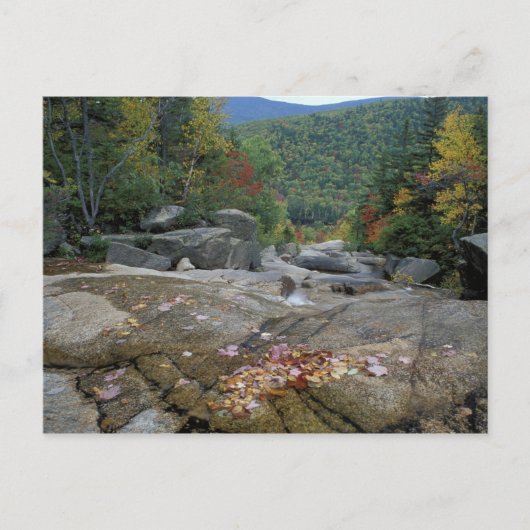 Noord-Amerika, VS, NH, Herfst in New York Briefkaart (Voorkant)