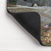 Noord-Amerika, VS, NH, Herfst in New York Muismat (Hoek)