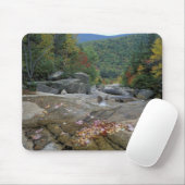 Noord-Amerika, VS, NH, Herfst in New York Muismat (Met muis)