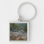 Noord-Amerika, VS, NH, Herfst in New York Sleutelhanger (Voorkant)