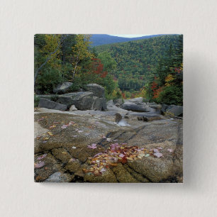 Noord-Amerika, VS, NH, Herfstkleuren in New Vierkante Button 5,1 Cm