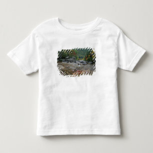 Noord-Amerika, VS, NH, Herfstloof in New Kinder Shirts