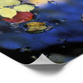 Noord-Amerika, VS, NH, Landen in een vijver Poster (Hoek)