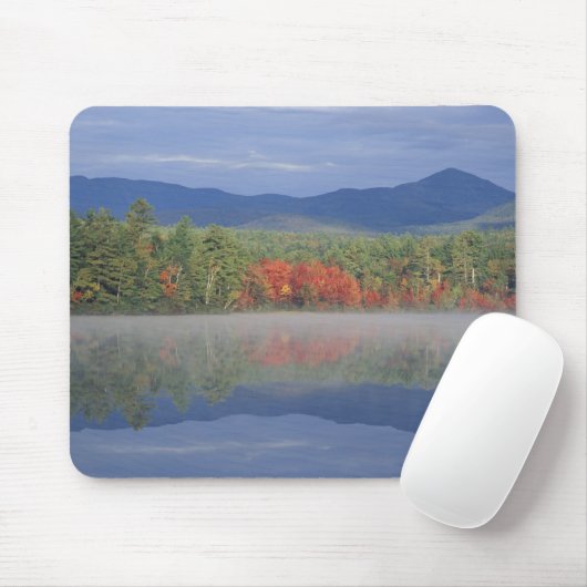 Noord-Amerika, VS, NH, reflectie op de Herfst in Muismat (Met muis)