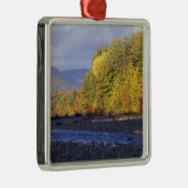 Noord-Amerika, VS, NH, Saco River. Kobbelen Metalen Ornament (Rechts)