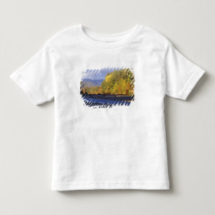 Noord-Amerika, VS, NH, Saco-rivier. Kei Kinder Shirts