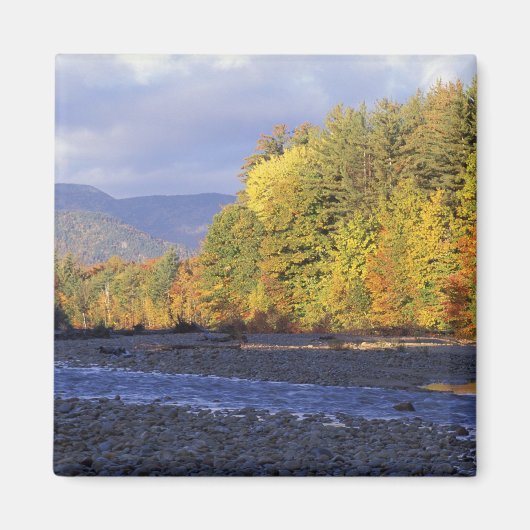 Noord-Amerika, VS, NH, Saco-rivier. Kei Magneet (Voorkant)