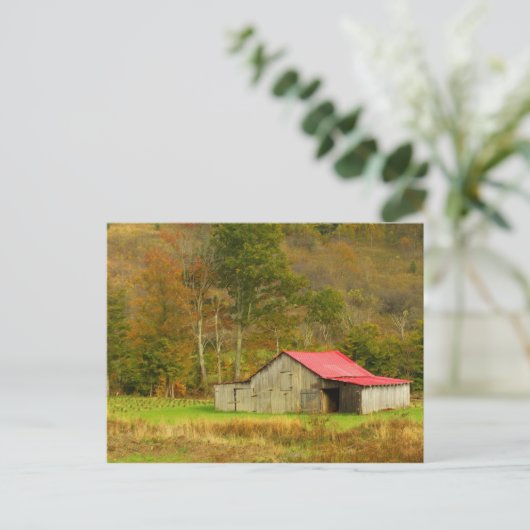 Noord-Amerika, VS, North Carolina, platteland Briefkaart (Staand voorkant)