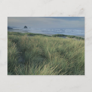 Noord-Amerika, VS, Oregon, Canon Beach, Briefkaart