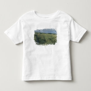 Noord-Amerika, VS, Oregon, Canon Beach, Kinder Shirts