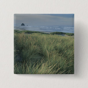 Noord-Amerika, VS, Oregon, Canon Beach, Vierkante Button 5,1 Cm