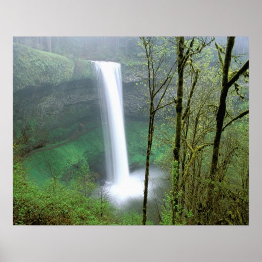 Noord-Amerika, VS, Oregon, Silver Falls State Poster (Voorkant)
