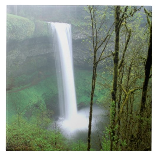 Noord-Amerika, VS, Oregon, Silver Falls State Tegeltje (Voorkant)