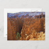 Noord-Amerika, VS, Utah, Bryce Canyon 2 Briefkaart (Voorkant / Achterkant)