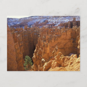 Noord-Amerika, VS, Utah, Bryce Canyon 2 Briefkaart