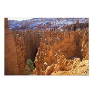 Noord-Amerika, VS, Utah, Bryce Canyon 2 Foto Afdruk