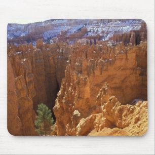 Noord-Amerika, VS, Utah, Bryce Canyon 2 Muismat