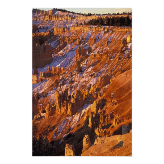 Noord-Amerika, VS, Utah, Bryce Canyon Foto Afdruk (Voorkant)