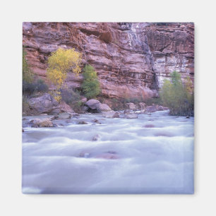 Noord-Amerika, VS, Utah, Zion National Park. 2 Magneet