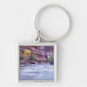 Noord-Amerika, VS, Utah, Zion National Park. 2 Sleutelhanger