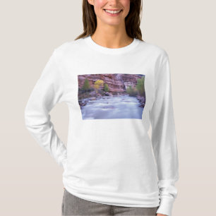 Noord-Amerika, VS, Utah, Zion National Park. 2 T-shirt