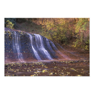 Noord-Amerika, VS, Utah, Zion National Park. Foto Afdruk