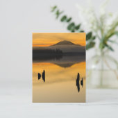 Noord-Amerika, VS, WA, Nationaal Park van de Olymp Briefkaart (Staand voorkant)