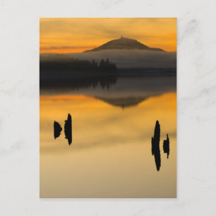Noord-Amerika, VS, WA, Olympic National Park. Briefkaart