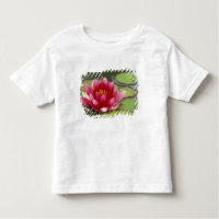 Noord-Amerika, VS, WA, Seattle, Woodland Park