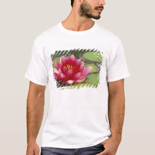 Noord-Amerika, VS, WA, Seattle, Woodland Park T-shirt