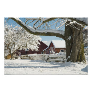 Noord-Amerika, VS, WA, Whidbey Island. 2 Foto Afdruk