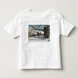 Noord-Amerika, VS, WA, Whidbey Island. 2 Kinder Shirts