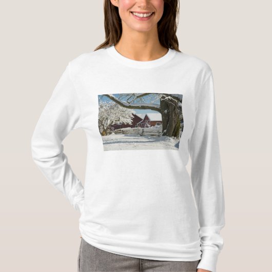 Noord-Amerika, VS, WA, Whidbey Island. 2 T-shirt (Voorkant)