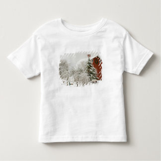 Noord-Amerika, VS, WA, Whidbey Island. Kinder Shirts
