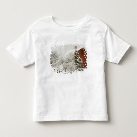 Noord-Amerika, VS, WA, Whidbey Island. Kinder Shirts (Voorkant)