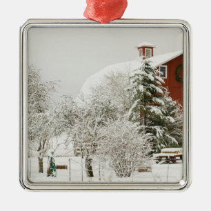 Noord-Amerika, VS, WA, Whidbey Island. Metalen Ornament