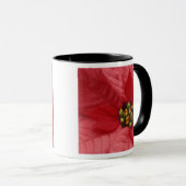 Noord-Amerika, VS, WA, Woodinville, Red 2 Mok (Voorkant rechts)