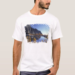 Noord-Amerika, VS, Washington, Betovering T-shirt