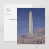 Noord-Amerika, VS, Washington D.C. Washington Briefkaart (Voorkant / Achterkant)