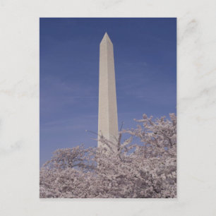 Noord-Amerika, VS, Washington D.C. Washington Briefkaart