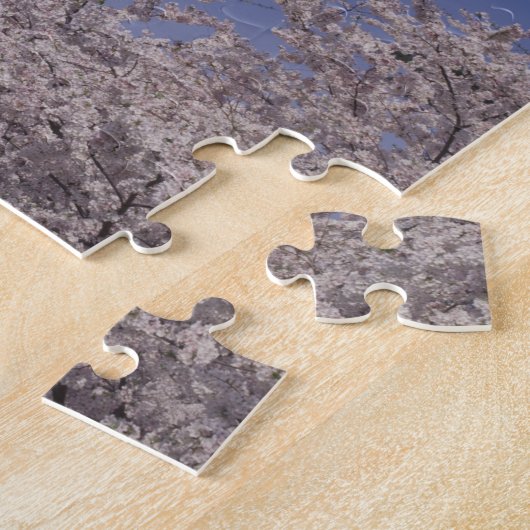 Noord-Amerika, VS, Washington D.C. Washington Legpuzzel (Zijkant)