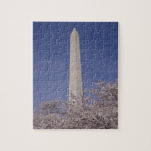 Noord-Amerika, VS, Washington D.C. Washington Legpuzzel