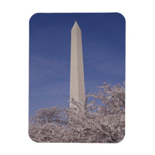 Noord-Amerika, VS, Washington D.C.. Washington Magneet