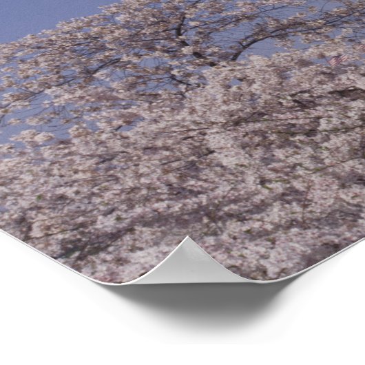 Noord-Amerika, VS, Washington D.C. Washington Poster (Hoek)